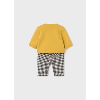 Conjunto cúrcuma - Imagen 2