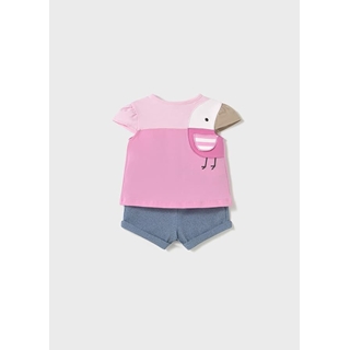 Conjunto punto tulipán - Imagen 1